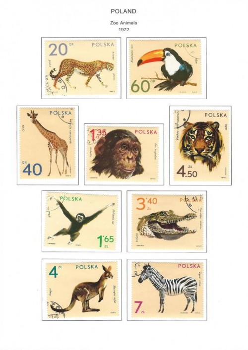 steiner-stamp-album-pages-poland-1980-pg-17-1972-zoo-animals.jpg