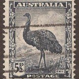 Australia-196u