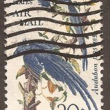 USA-airmail-stamp-C71u