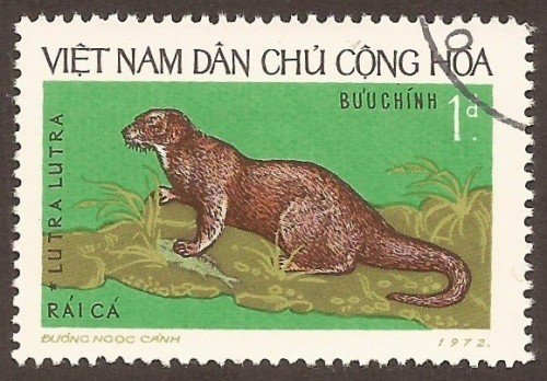 Stanley Gibbons #: N727
Vietnam #: 775
Description: European otter (Lutra lutra)
Series: Wild Animals
Face Value: 1 đồng