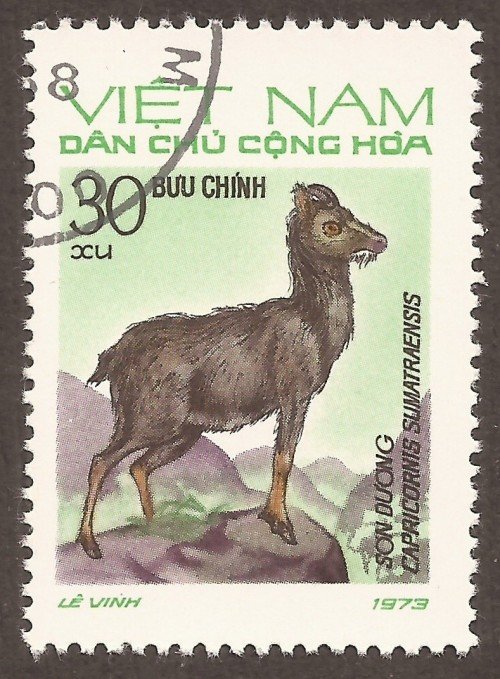 Stanley Gibbons #: N737
Vietnam #: 785
Description: Chamoise
Series: Wild Animals {2nd Series}
Face Value: 12 xu’s