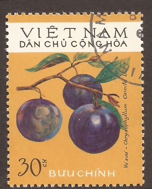 Stanley Gibbons #: N820
Vietnam #: 863
Description: Milk fruit (Chrysophyllum cainito)
Series: Fruits
Face Value: 30 xu’s