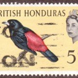 British-Honduras-0171u
