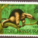 British-Honduras-0217m