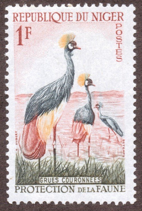 Wild Animals and Birds; Balearica pavonina (Black Crowned Crane)