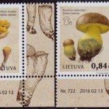 Lith-Mushrooms-2016-1070-71