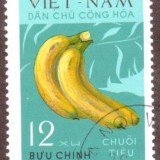 Vietnam-stamp-608u-North