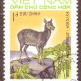 Vietnam-stamp-701u-North