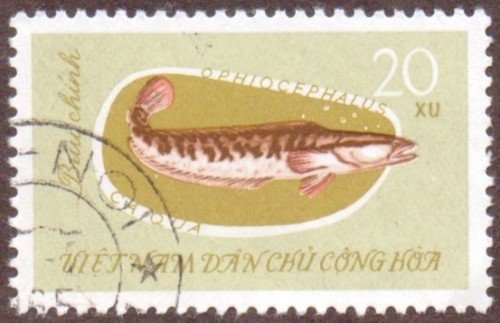 Vietnam-stamp-266u-North.jpg