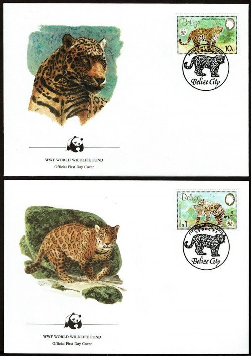 Leopards FDC 1