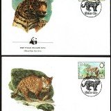 Leopards-FDC-1