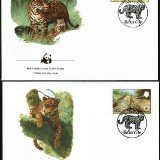 Leopards-FDC-2