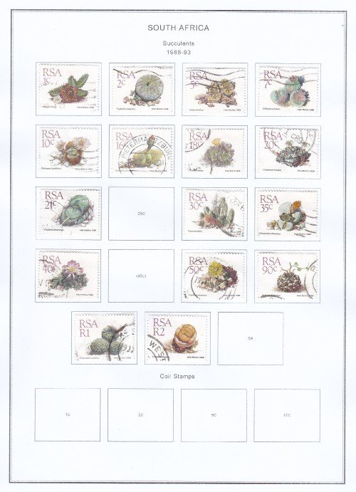 South-Africa-Succulents-1988-93.jpg