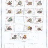 South-Africa-Succulents-1988-93