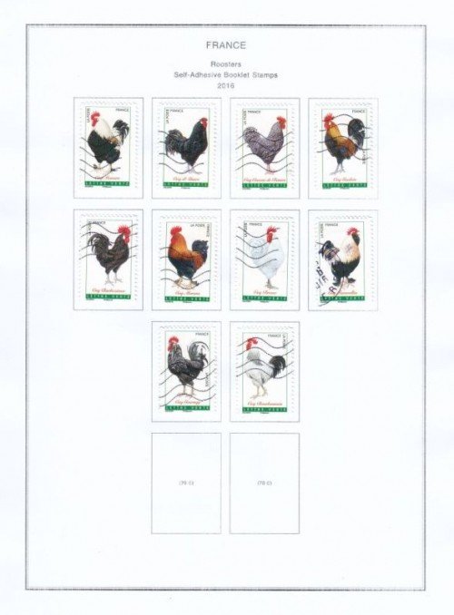 Roosters-2016.jpg