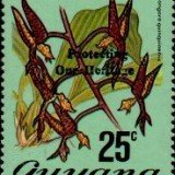 guyana1241