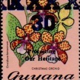 guyana1242