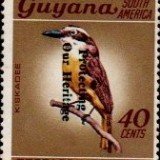 guyana1243