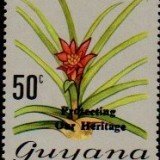 guyana1244