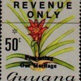 guyana1245