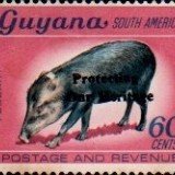 guyana1246