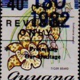 guyana1248