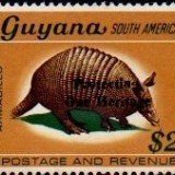 guyana1249