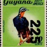 guyana1250