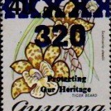 guyana1252