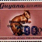guyana1254