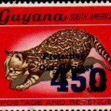 guyana1255
