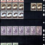 Papua-New-Guinea10