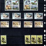 Papua-New-Guinea40