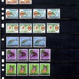 Papua-New-Guinea67