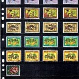 Papua-New-Guinea73