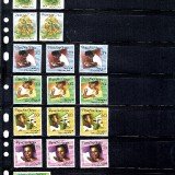 Papua-New-Guinea99