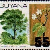 guyana1276