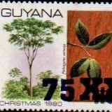 guyana1277