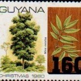 guyana1278