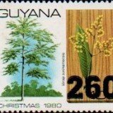 guyana1279