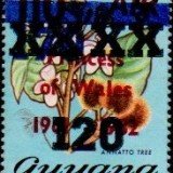 guyana1292