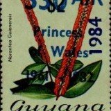 guyana1294