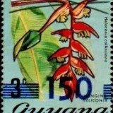 guyana1296