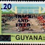 guyana1313