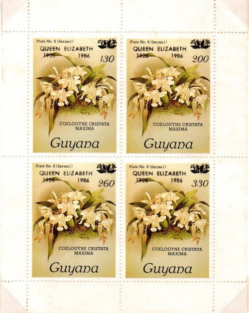 guyana1685