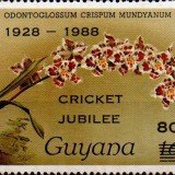 guyana2475