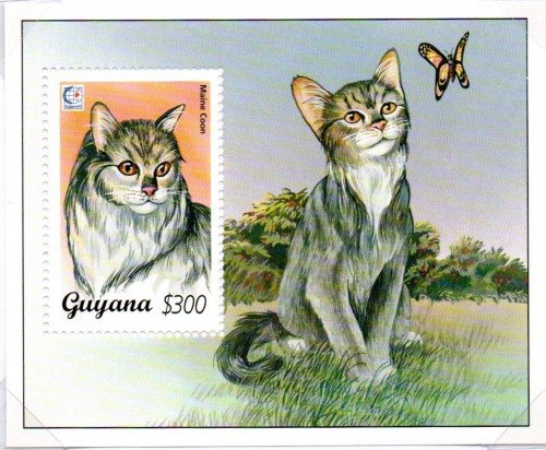 guyana4377a