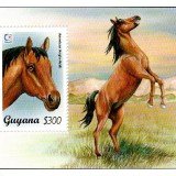 guyana4377c