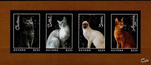 guyanacats.jpg