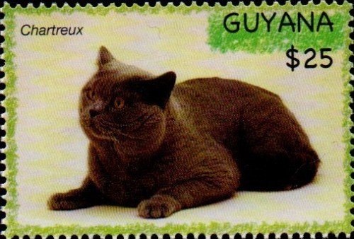guyana6617.jpg
